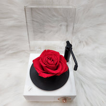 Load image into Gallery viewer, PRESERVED FLOWERS VINYL RECORD PLAYER PHONOGRAPH BLUETOOTH SPEAKER
