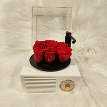 Load image into Gallery viewer, PRESERVED FLOWERS VINYL RECORD PLAYER PHONOGRAPH BLUETOOTH SPEAKER
