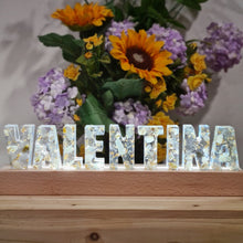 Load image into Gallery viewer, Crystal Lights w/ gold foil
